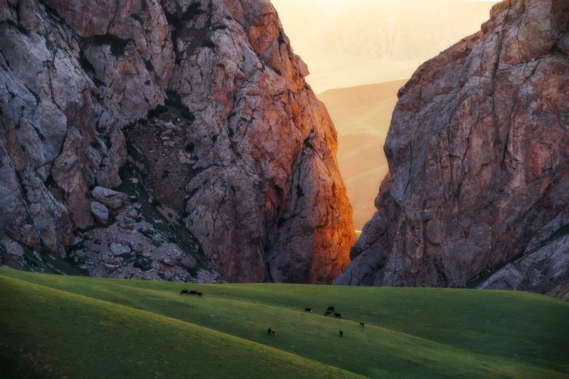 В тени ущелья фото превью