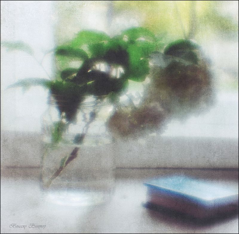 Натюрморт с веткой Бульденеж фото превью