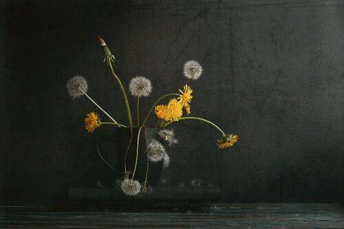 Череда времени..