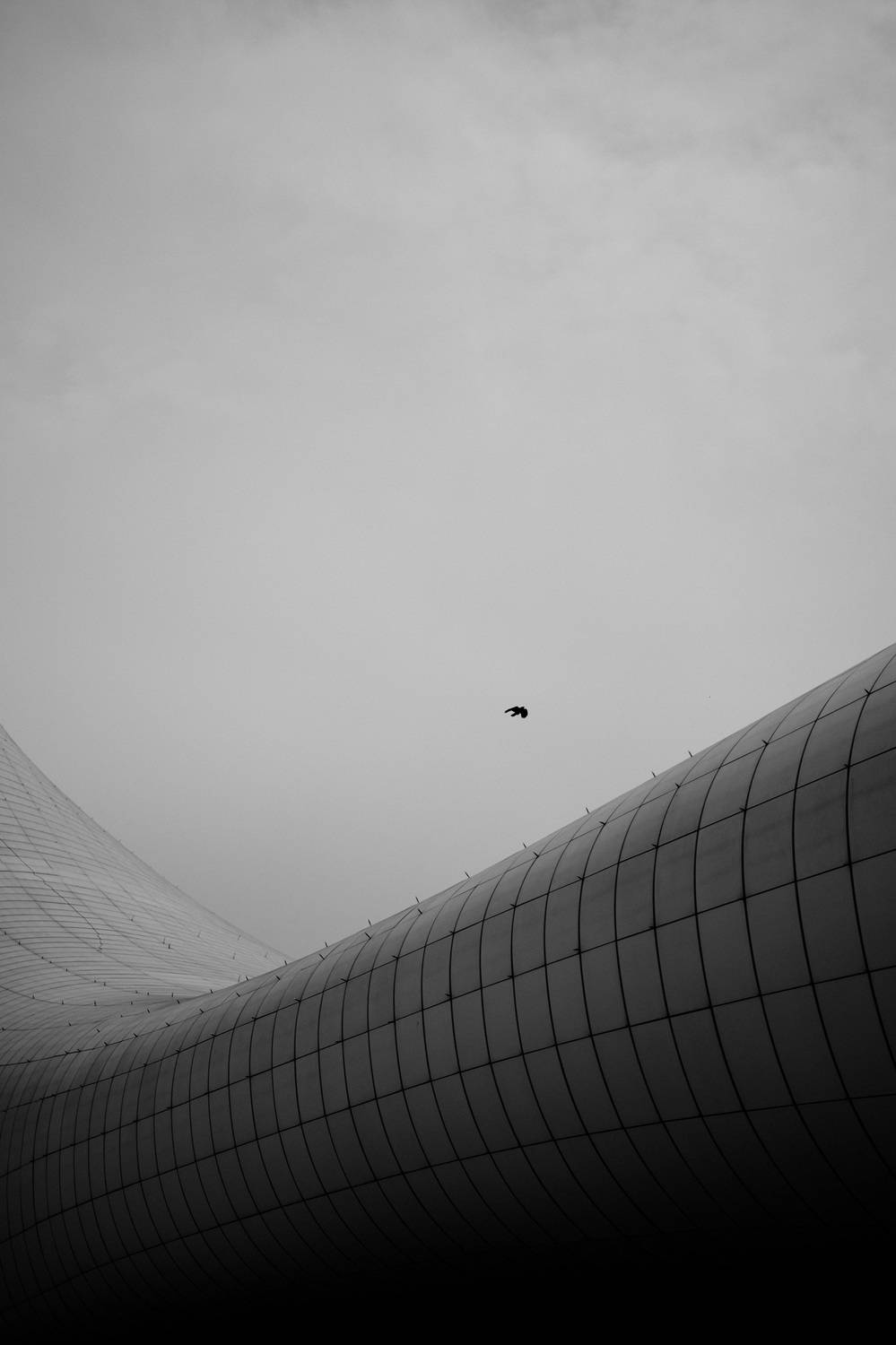 , Корж Владимир