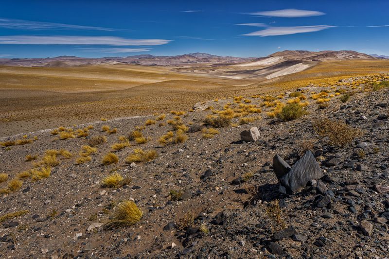 Paisaje de Antofagasta de la Sierra фото превью
