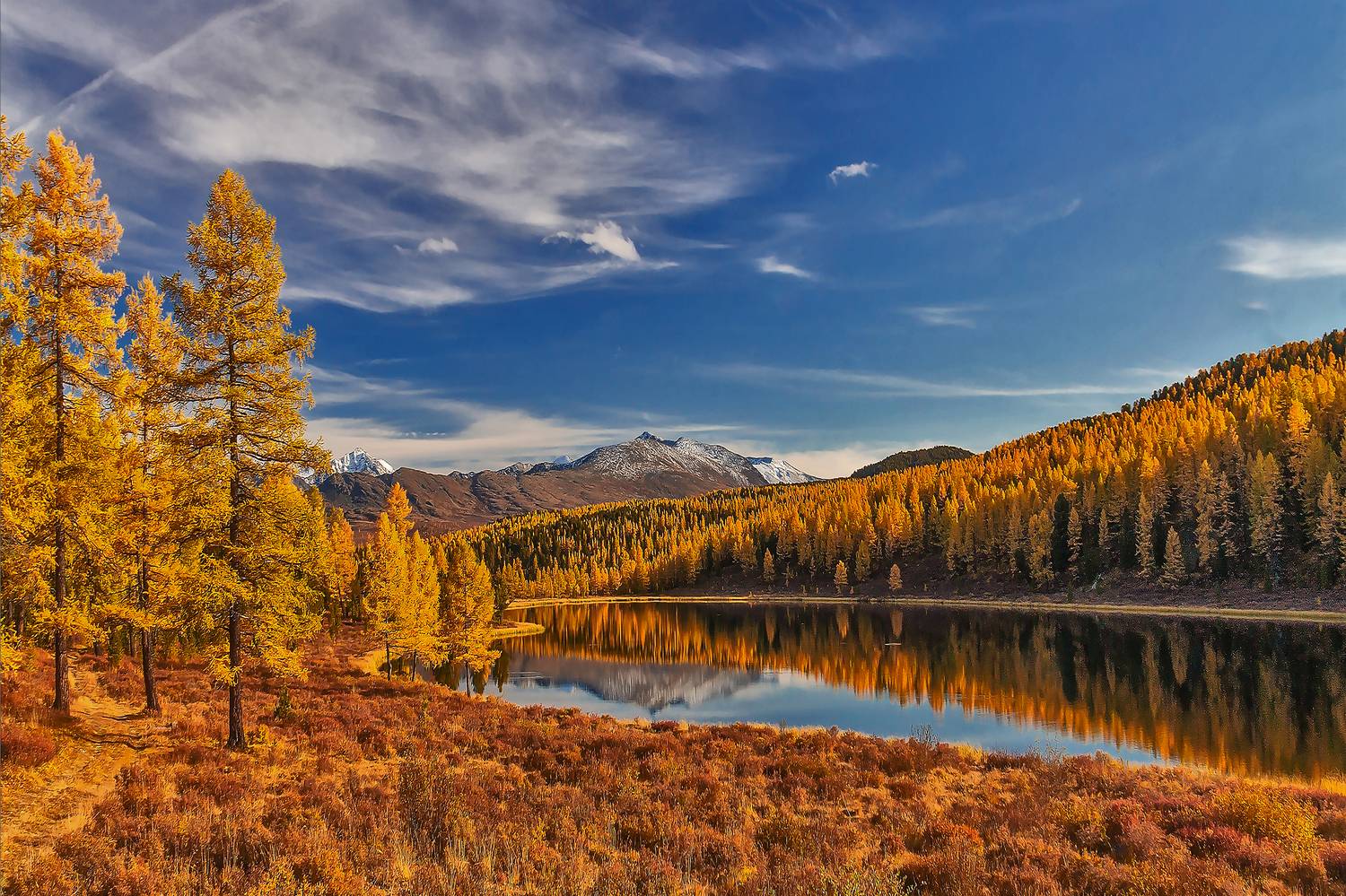 , Юдинских Марина