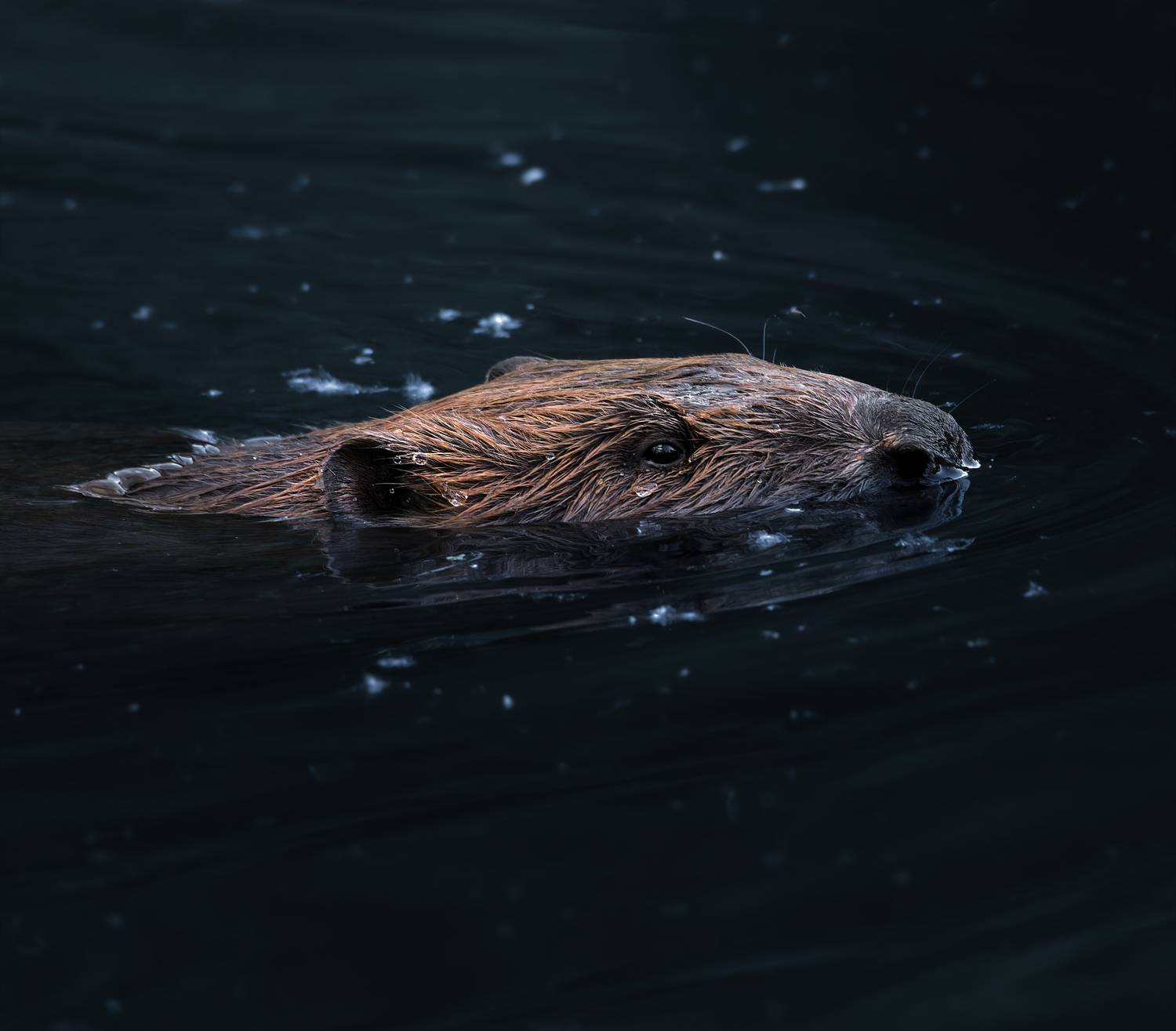 , Фото Александр