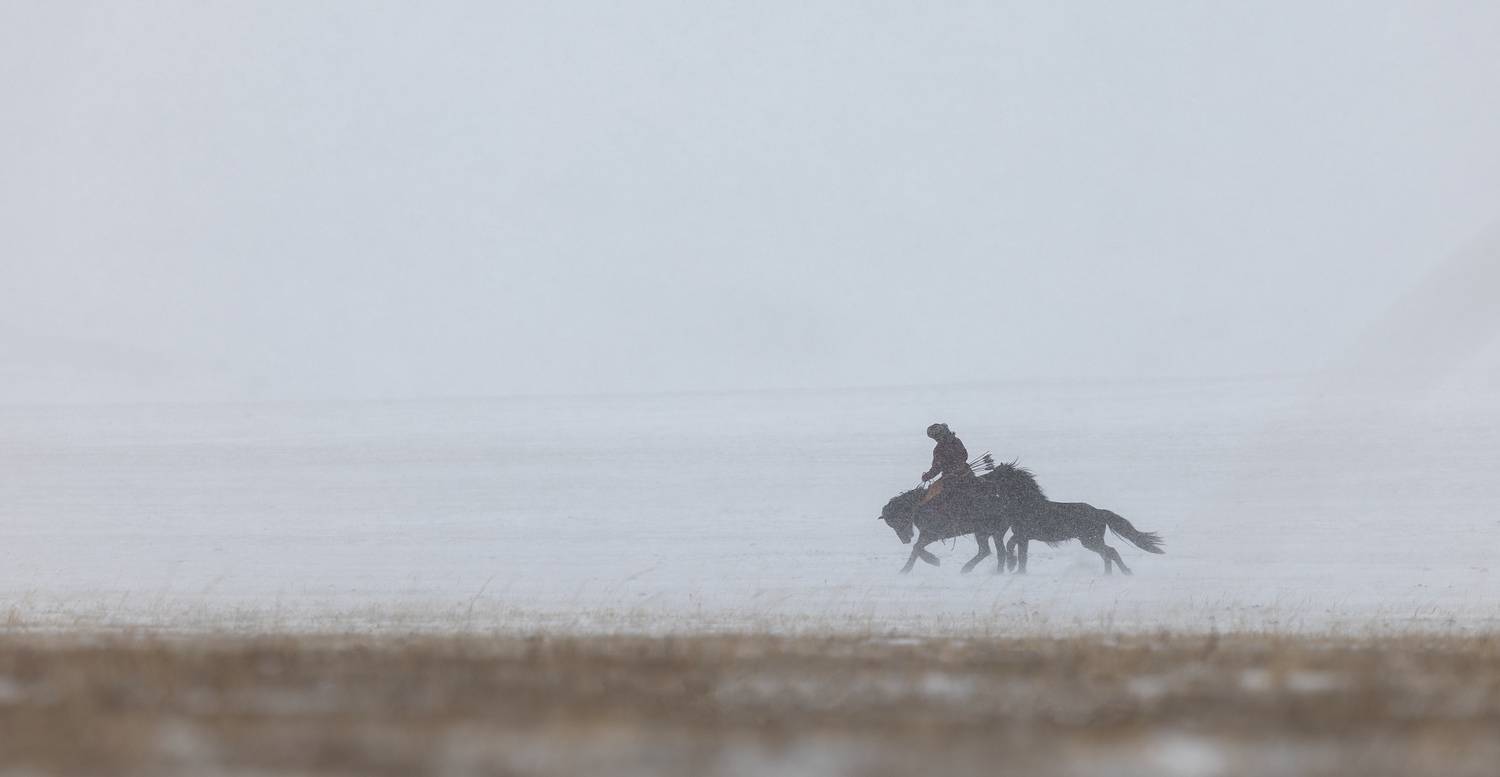 Ancient Mongolian Warrior, ganzorig miimaa