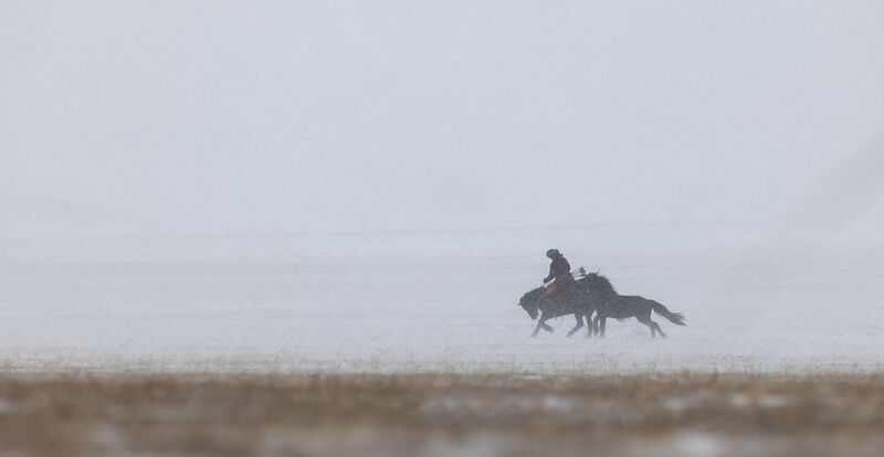 Ancient Mongolian Warrior Ancient Mongolian Warrior фото превью