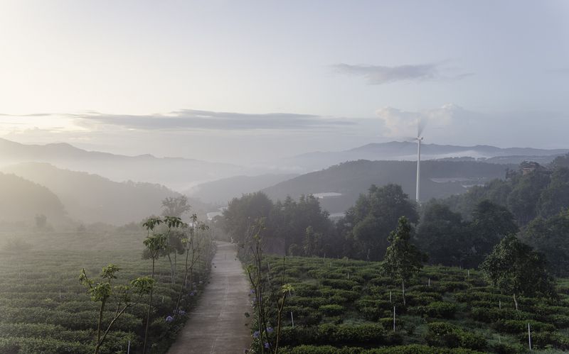 Clouds over pine hill in Dalat, Vietnam at dawn фото превью
