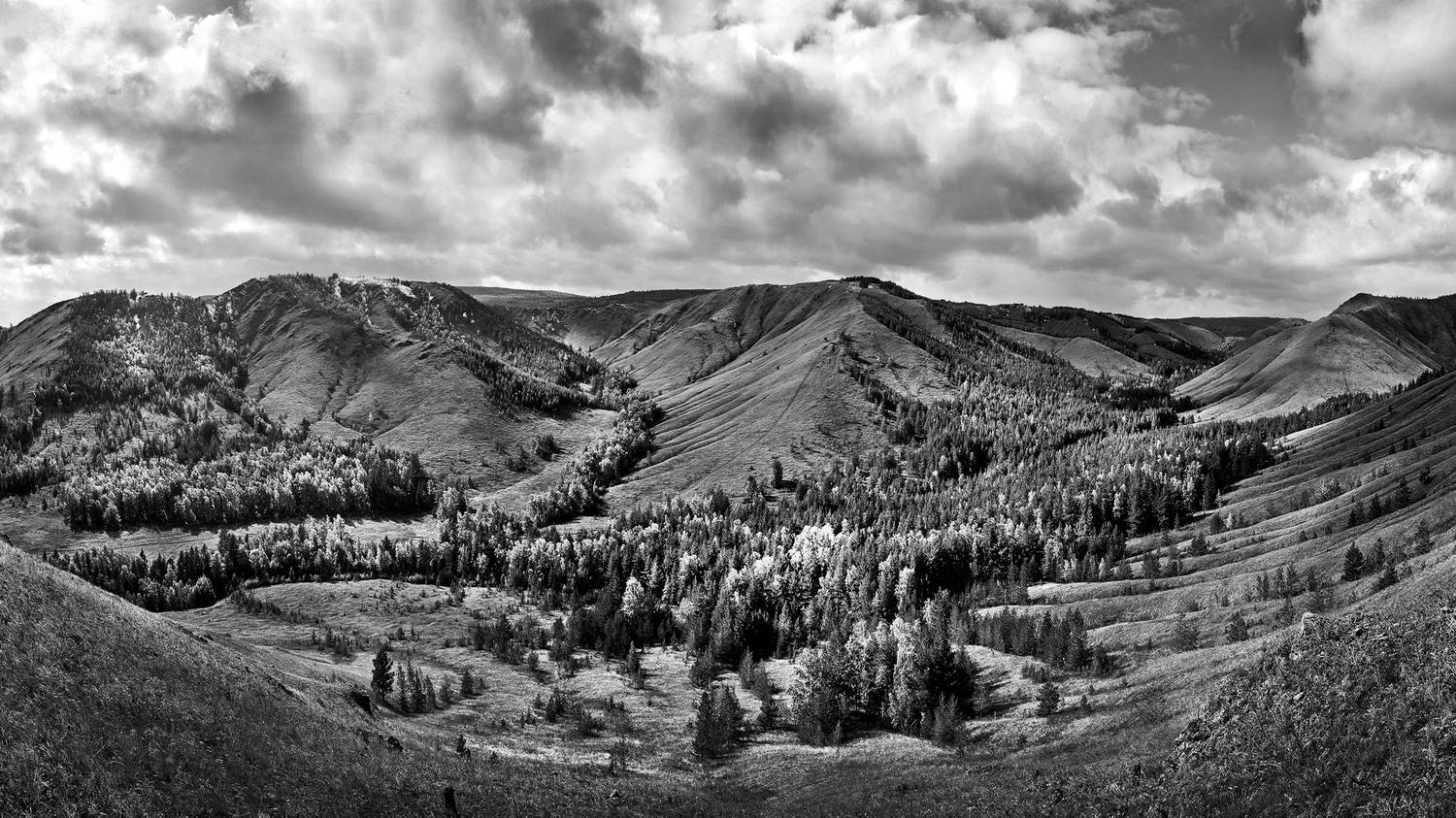 хр. Нурали, Ушаков Валерий