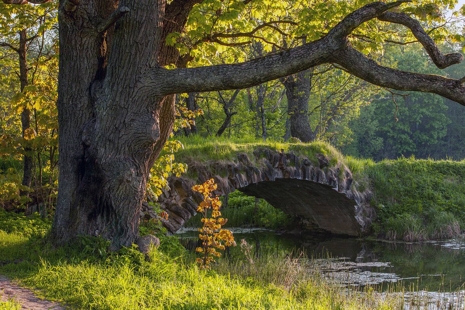 ,  александр михайлов