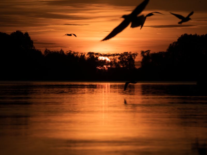 Мітуслівыя сілуэты фото превью