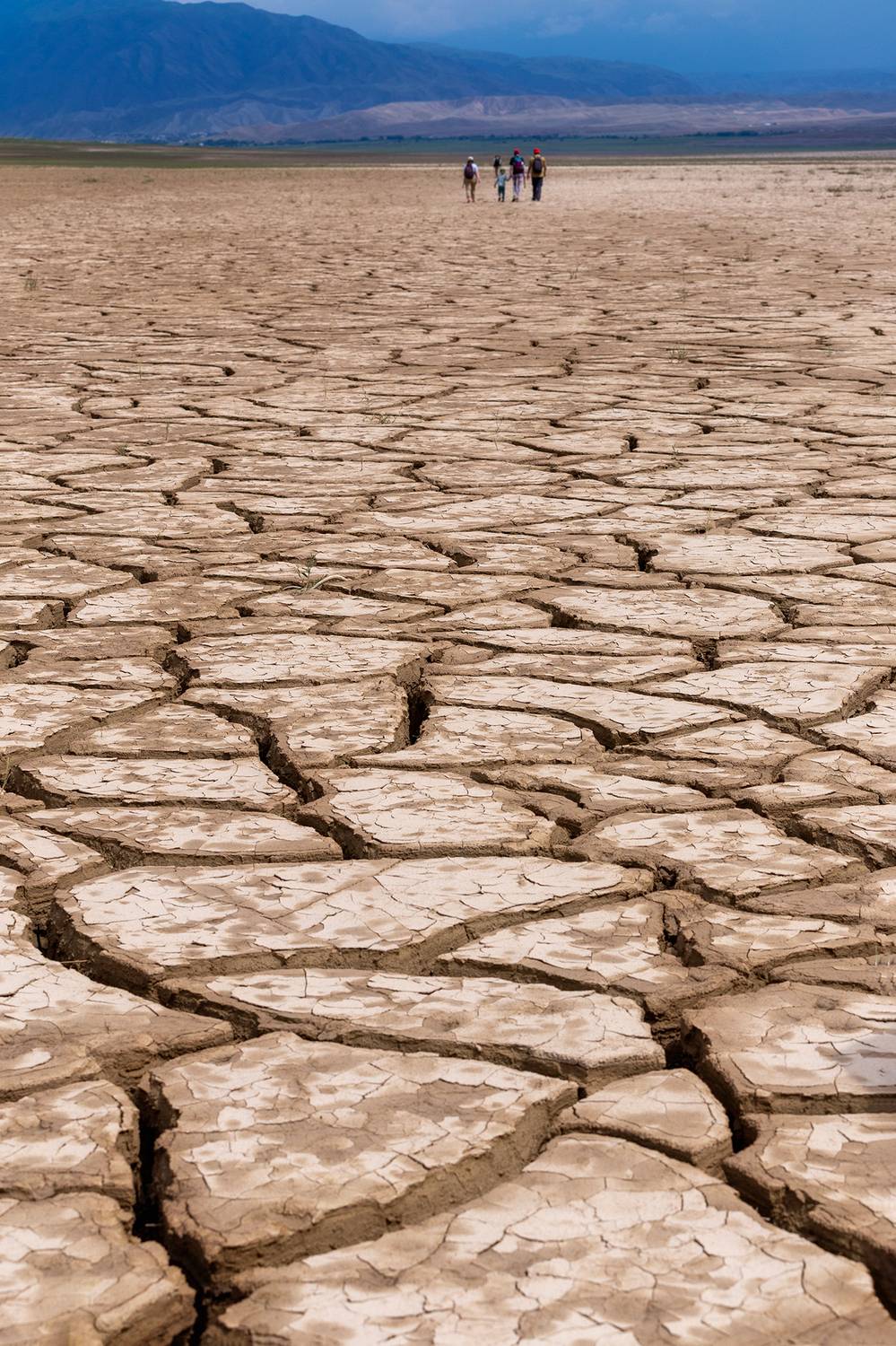 кыргызстан, Элина Магалимова