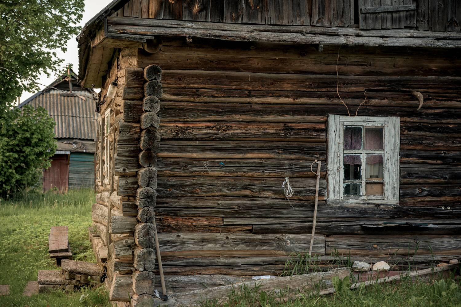 , Сережин Сережа