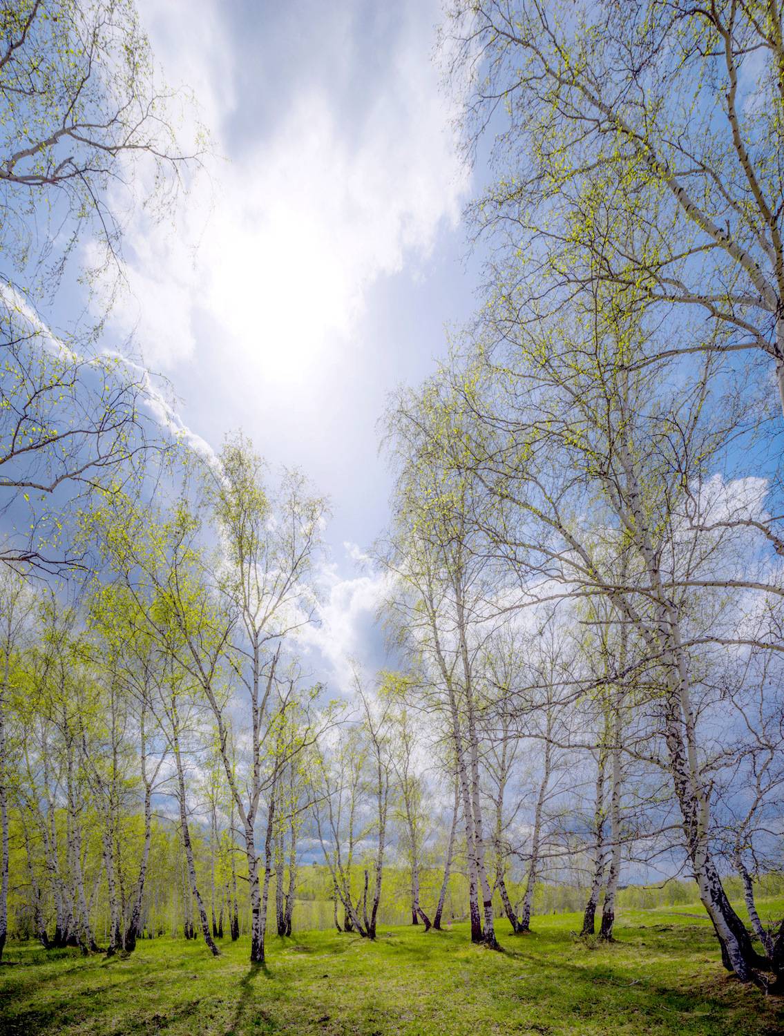 , Шустиков Дмитрий