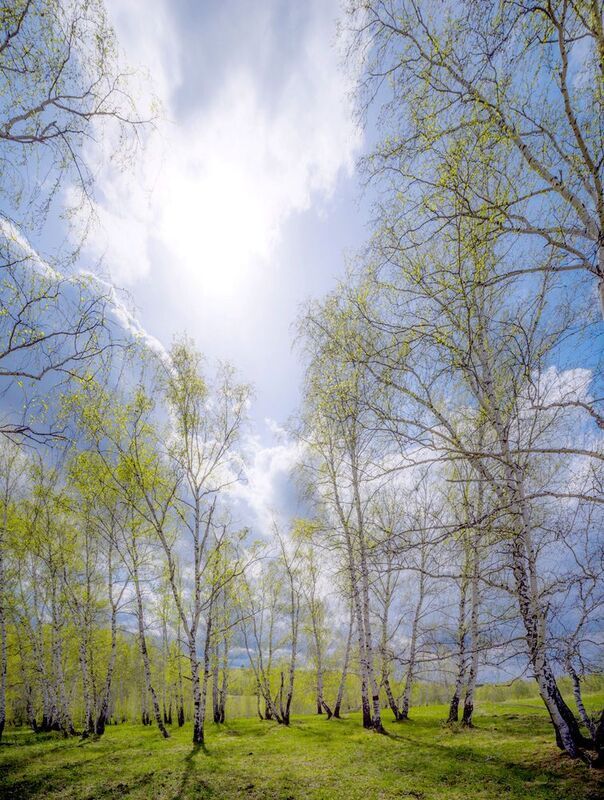 апрельское фото превью