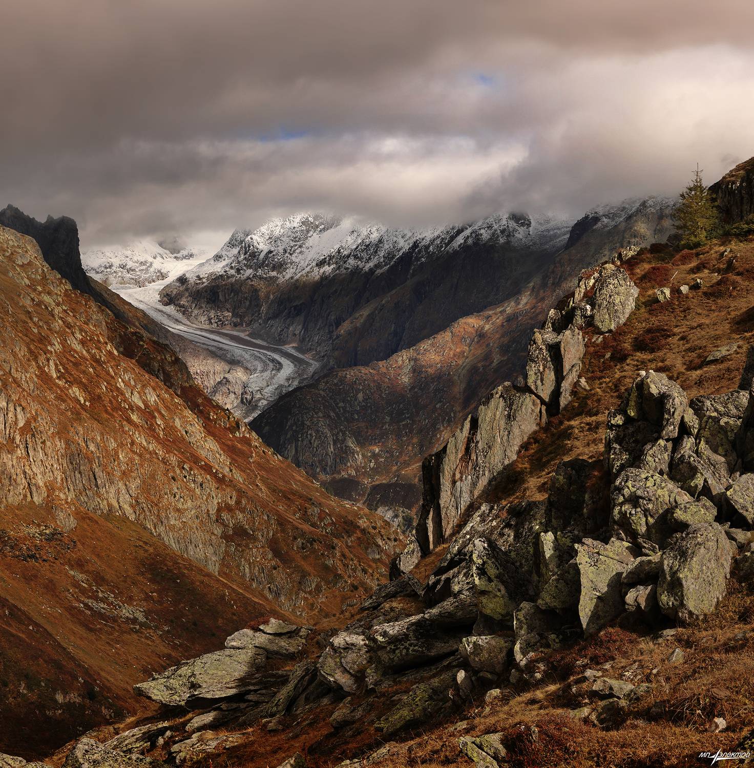 swiss, Матвеев Николай