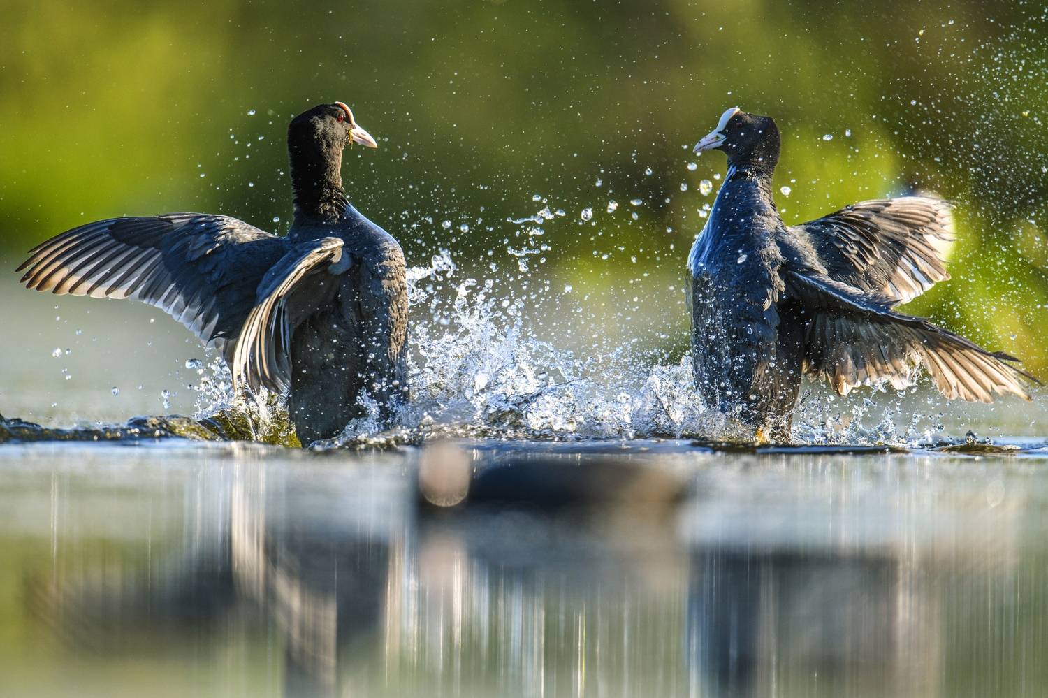 , Пупонин Сергей
