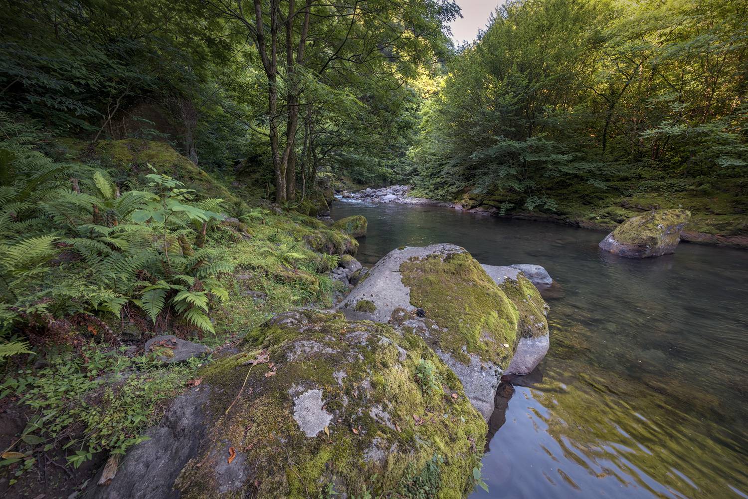 сhakvistskali, river, mtirala, mountains, forest, jungles, nature, landscape, scenery, travel, outdoors, georgia, sakartvelo, adjara, chizh, Чиж Андрей