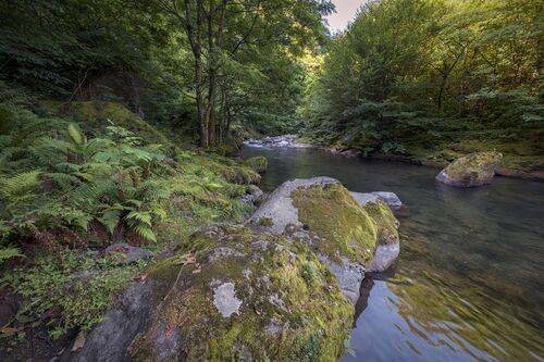 Stones In Chakvistskali River