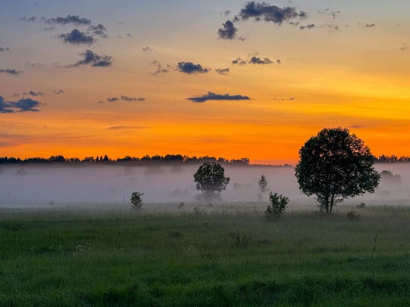 Закатный свет фото превью
