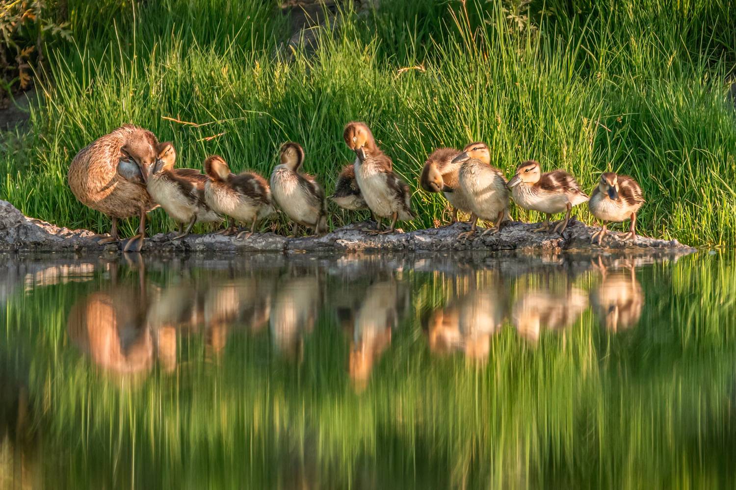 , Maikel Valle Clara