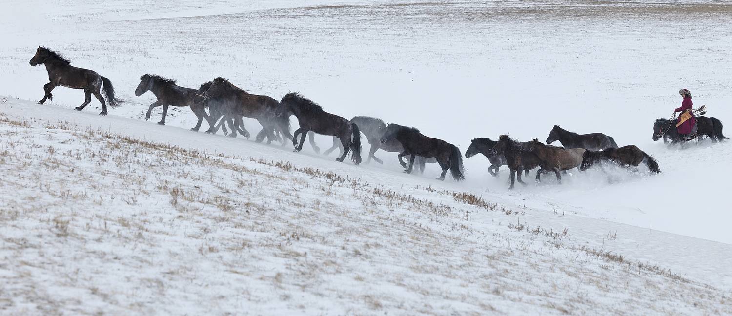 Ancient Mongolian Warrior, ganzorig miimaa