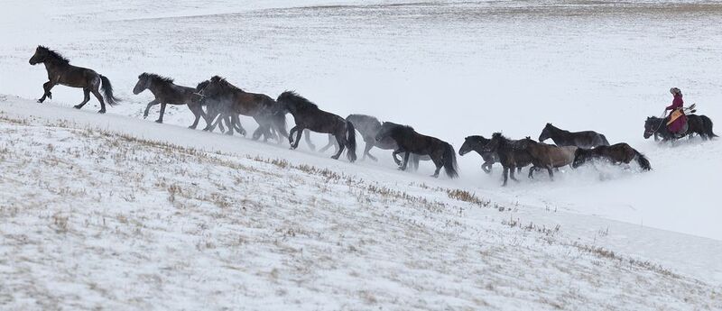 Ancient Mongolian Warrior Ancient Mongolian Warrior фото превью