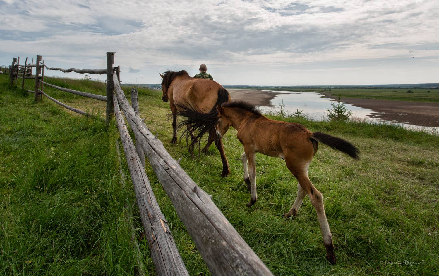 , Федотов Сергей