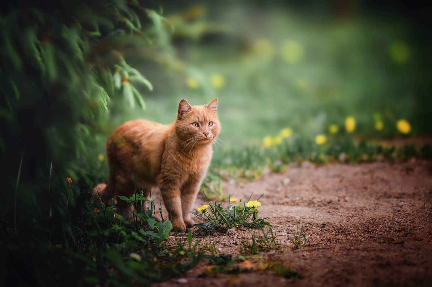 , Наталия Матвеева