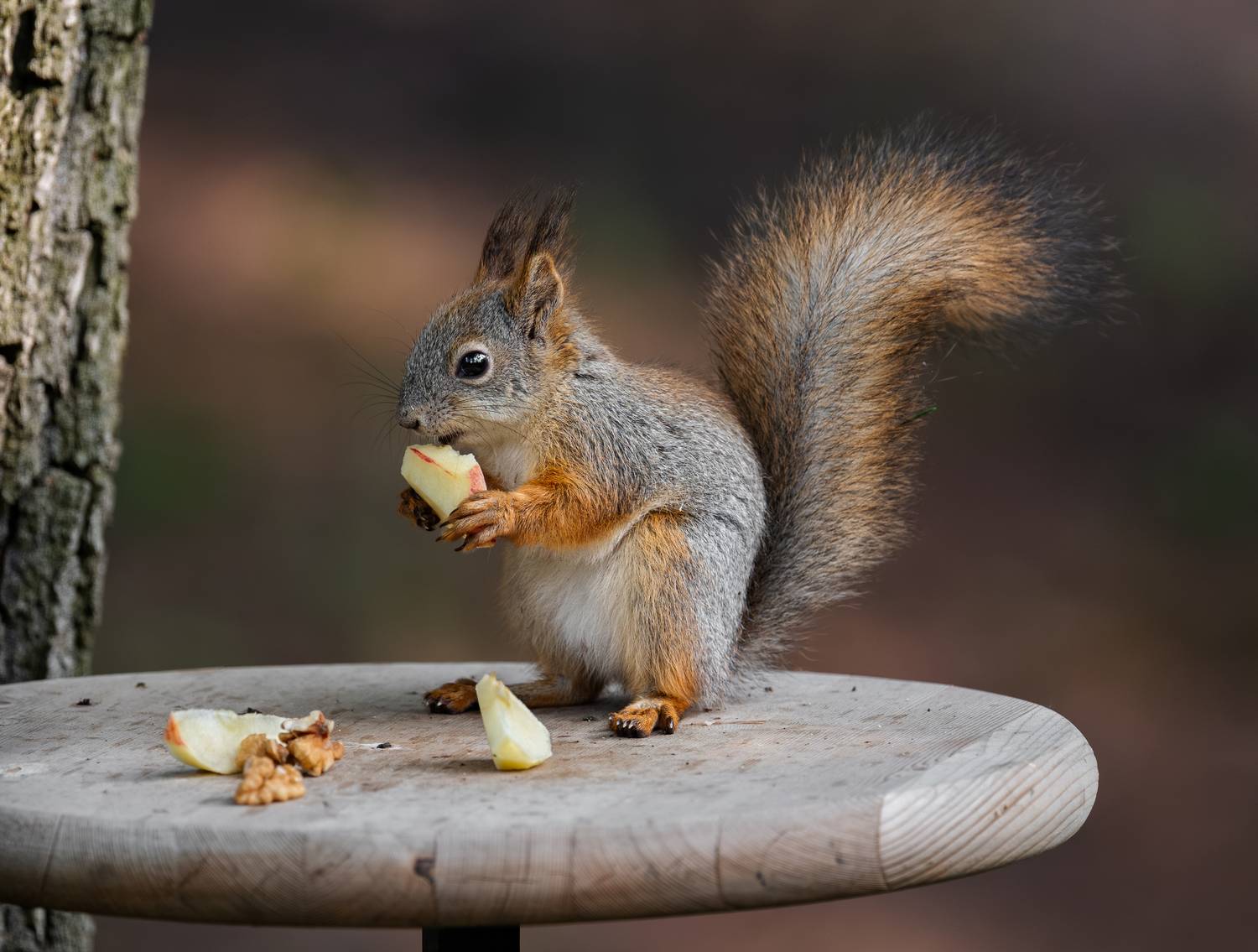 , Курлянцев Алексей