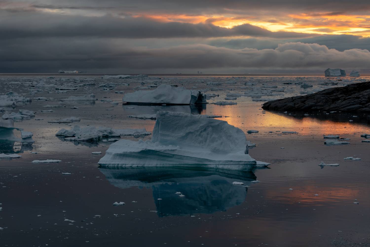 , Евгения Чех