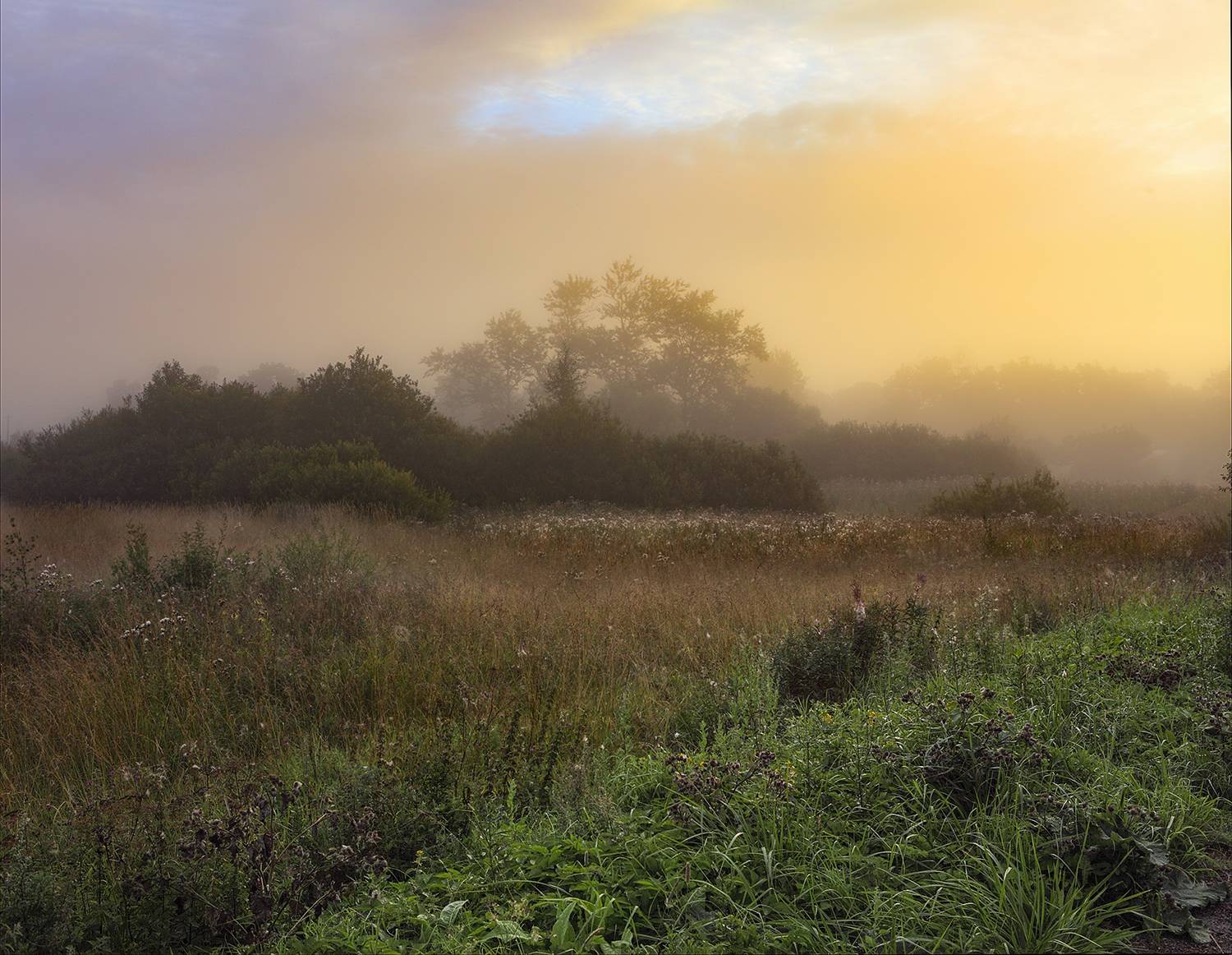 ,  александр михайлов