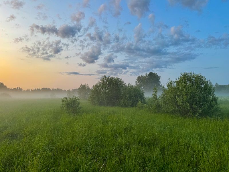 Летний вечер фото превью