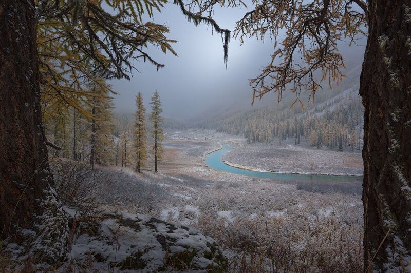 The Meandering фото превью