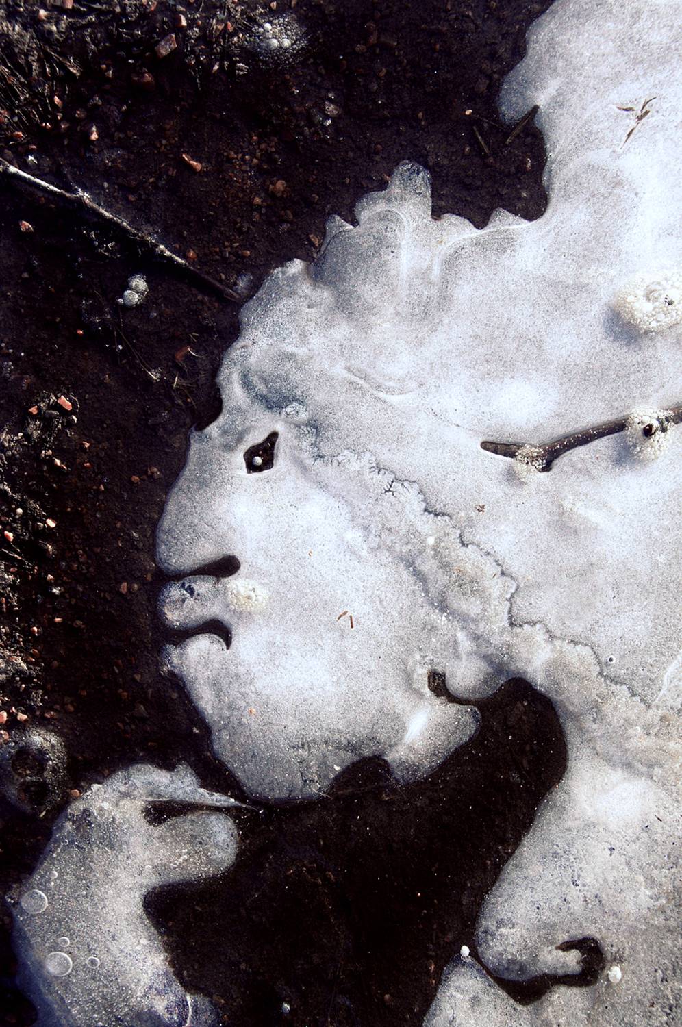 pareidolia, Илья Веулоп