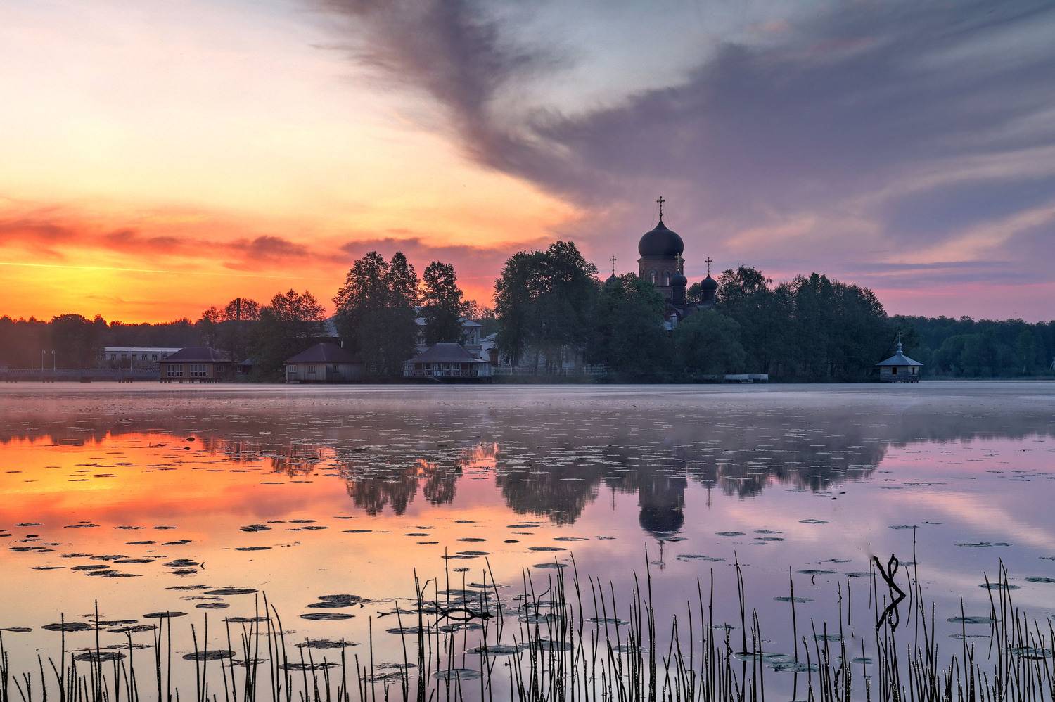 , Добролюбова Тамара