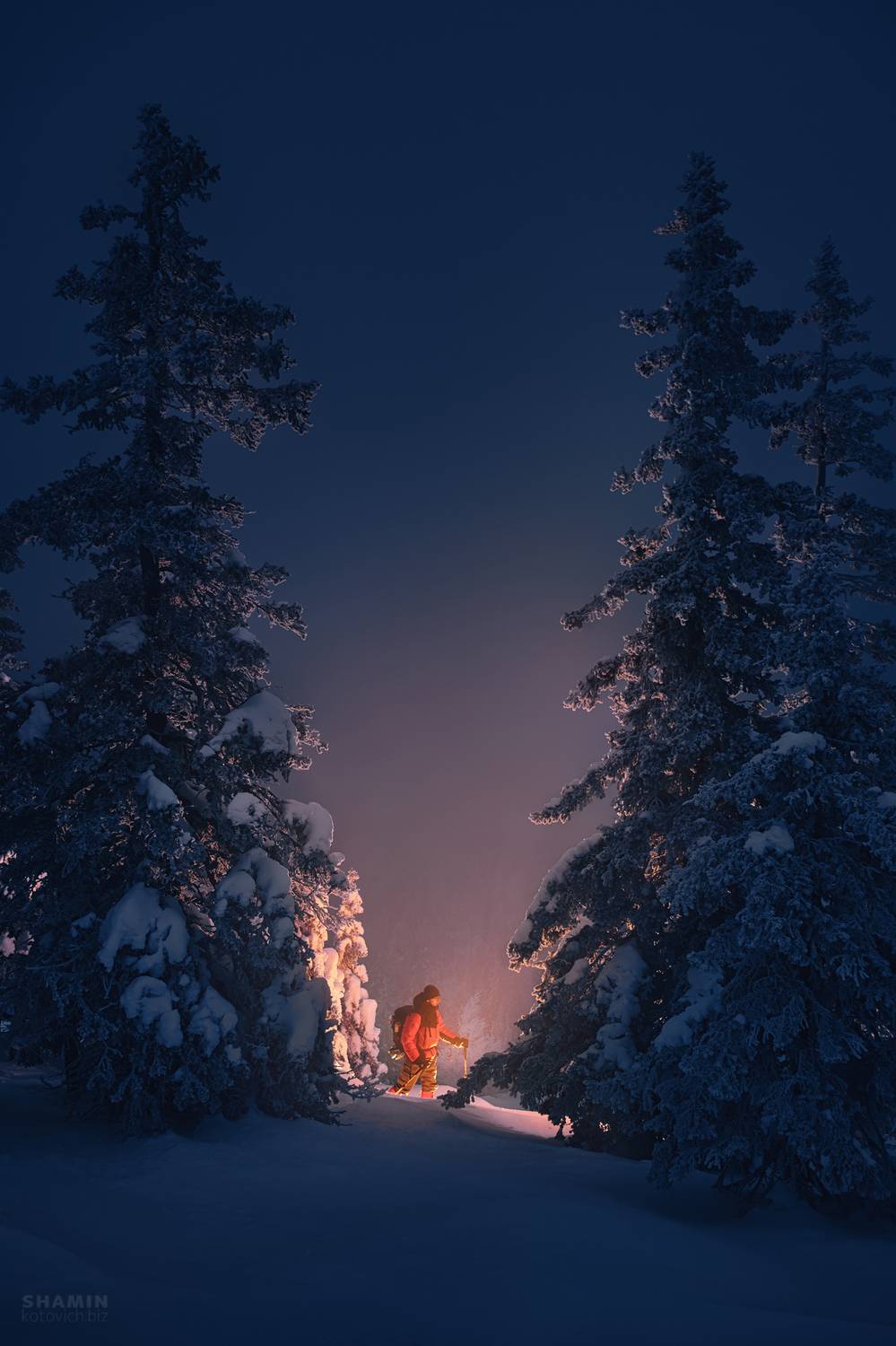 , Константин Шамин