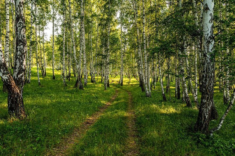 ******* фото превью