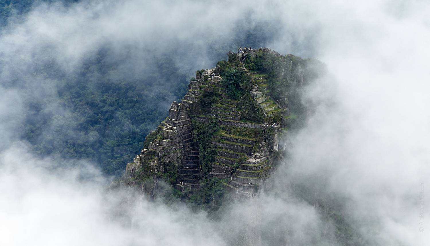 , Гиль Александр