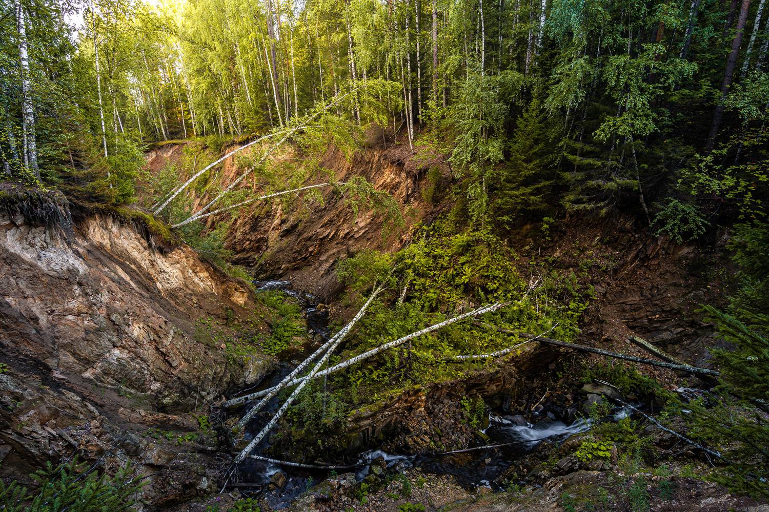 , Андрей Шарапов