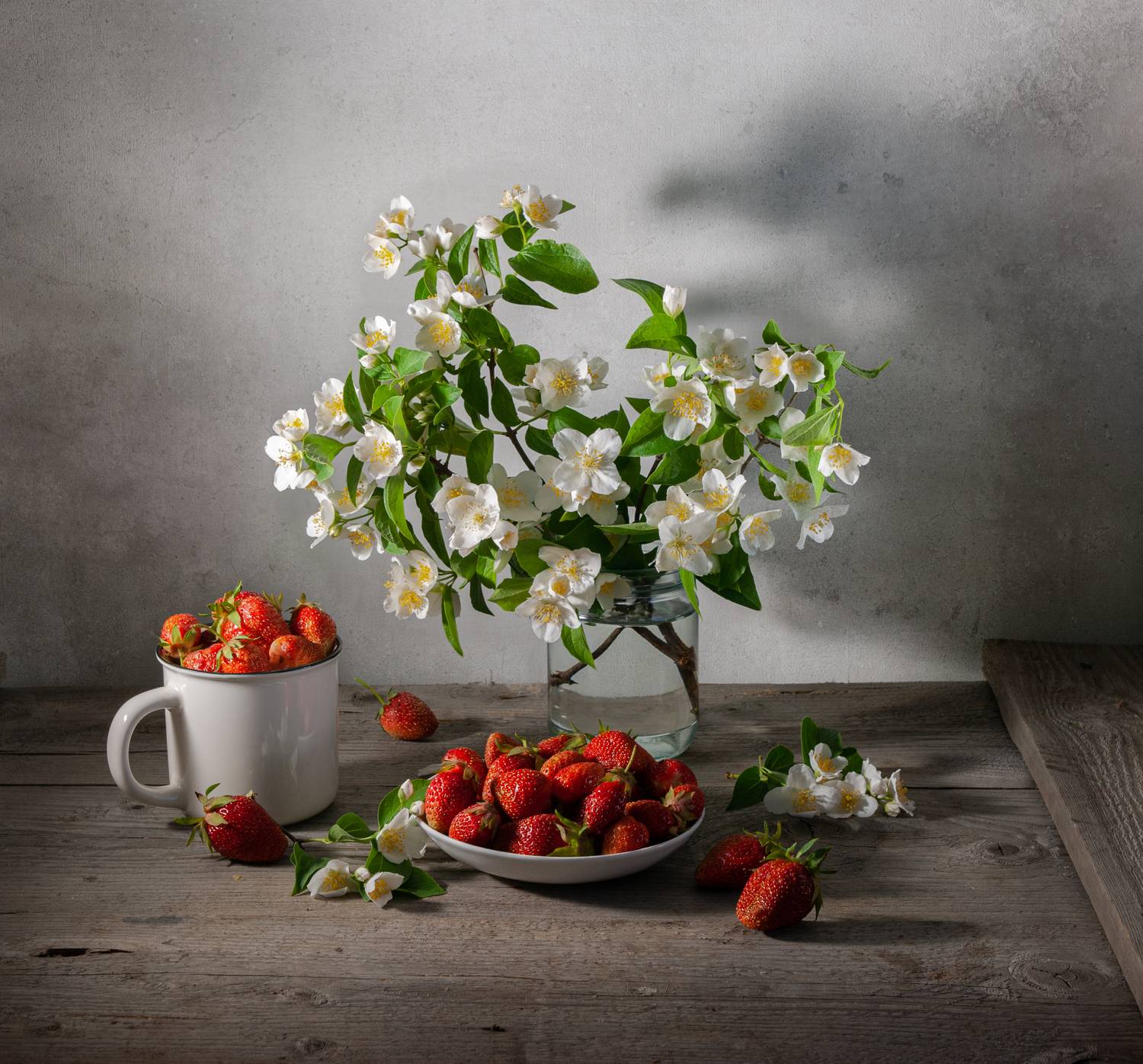 , Павлюк Елена