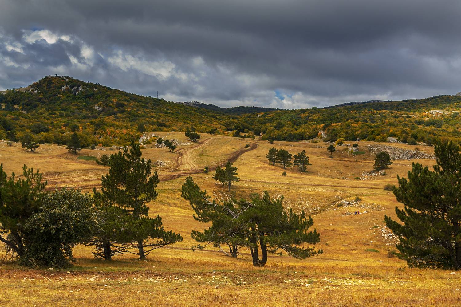 , Лысенко Сергей