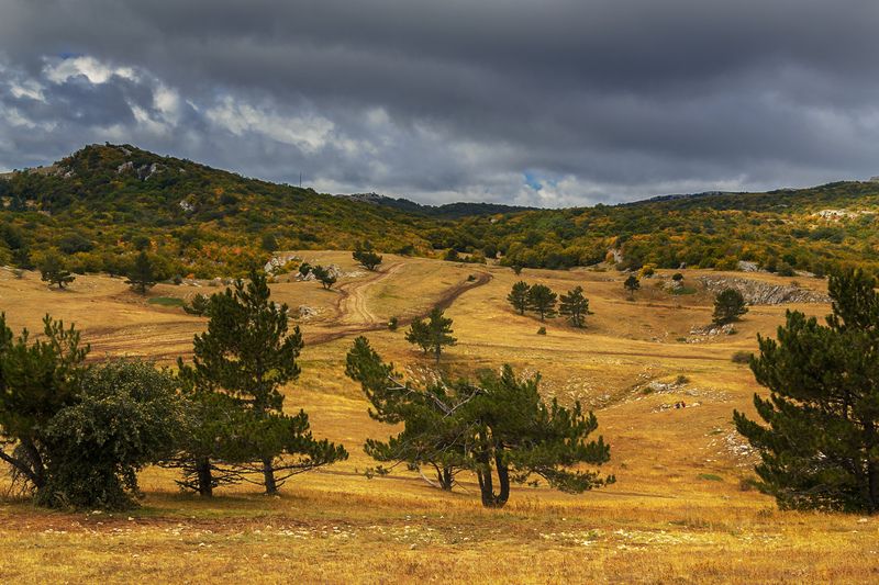 Осень на плато Ай-Петри. фото превью