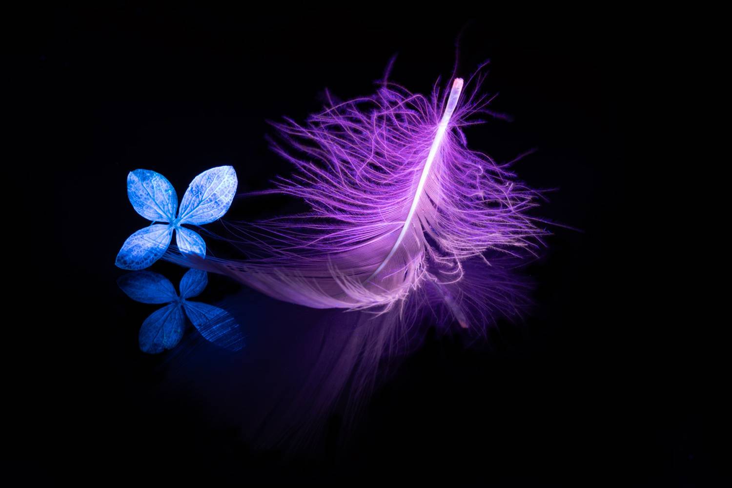 , Копцев Игорь