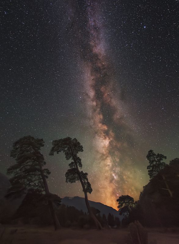астрофото, астрофотография, ночь, астрономия, астропейзаж, кавказ, млечный путь, звезды, ночное небо, night, nightphotography, stars, milkyway, longexposure Сосны завалили горизонт фото превью