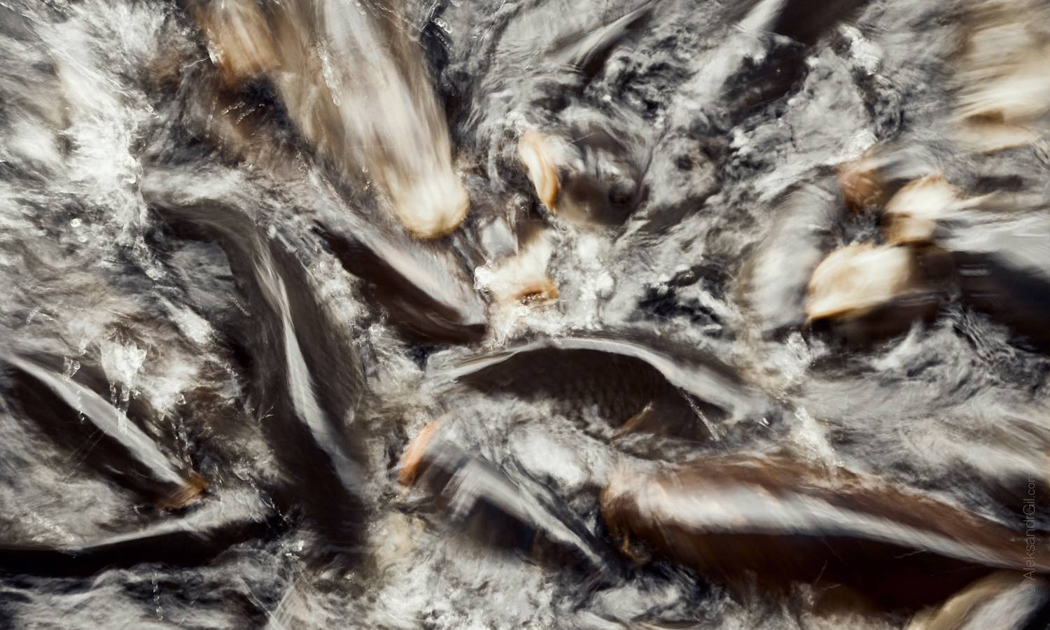 , Гиль Александр