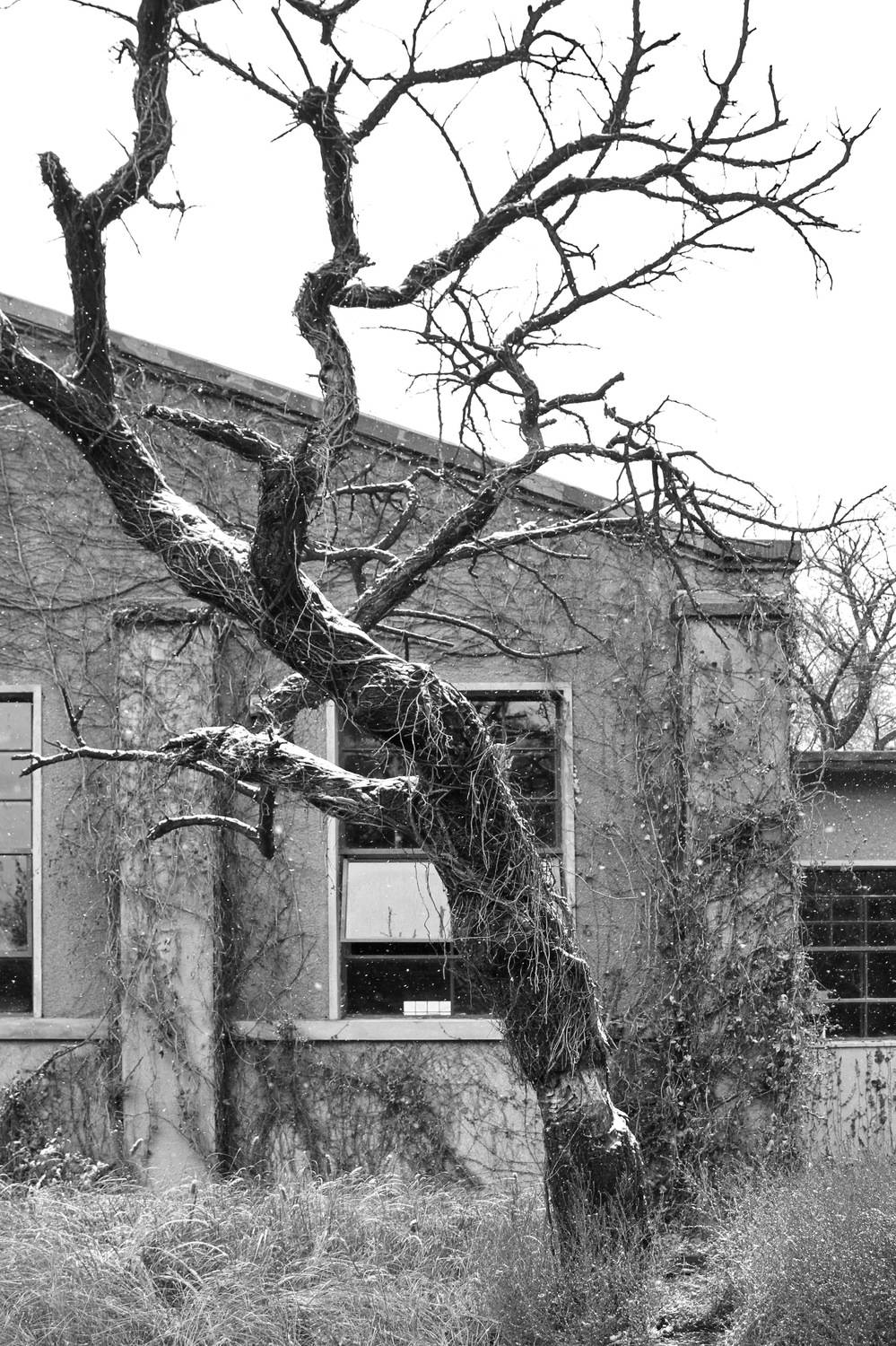 , Гагик Мхитарян