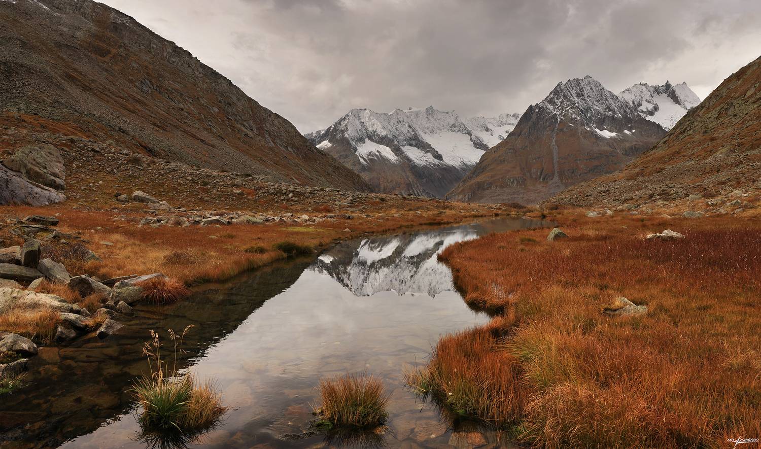 swiss, Матвеев Николай