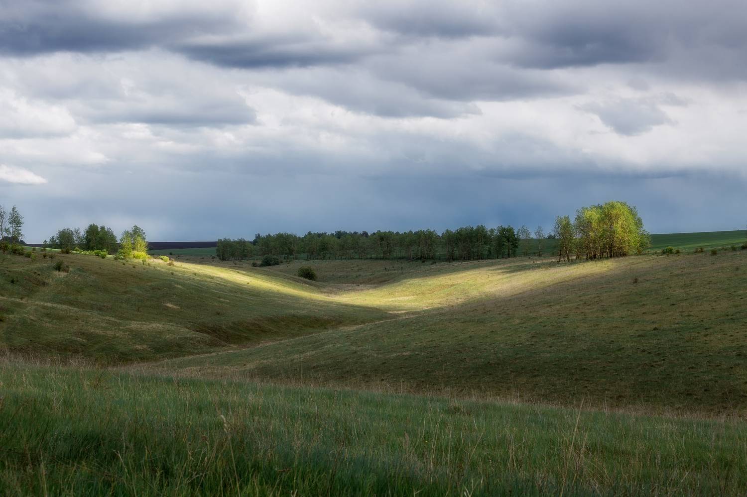 природа, Тульская область, пейзаж, пейзажная фотография, просторы, Мартыненко Дмитрий