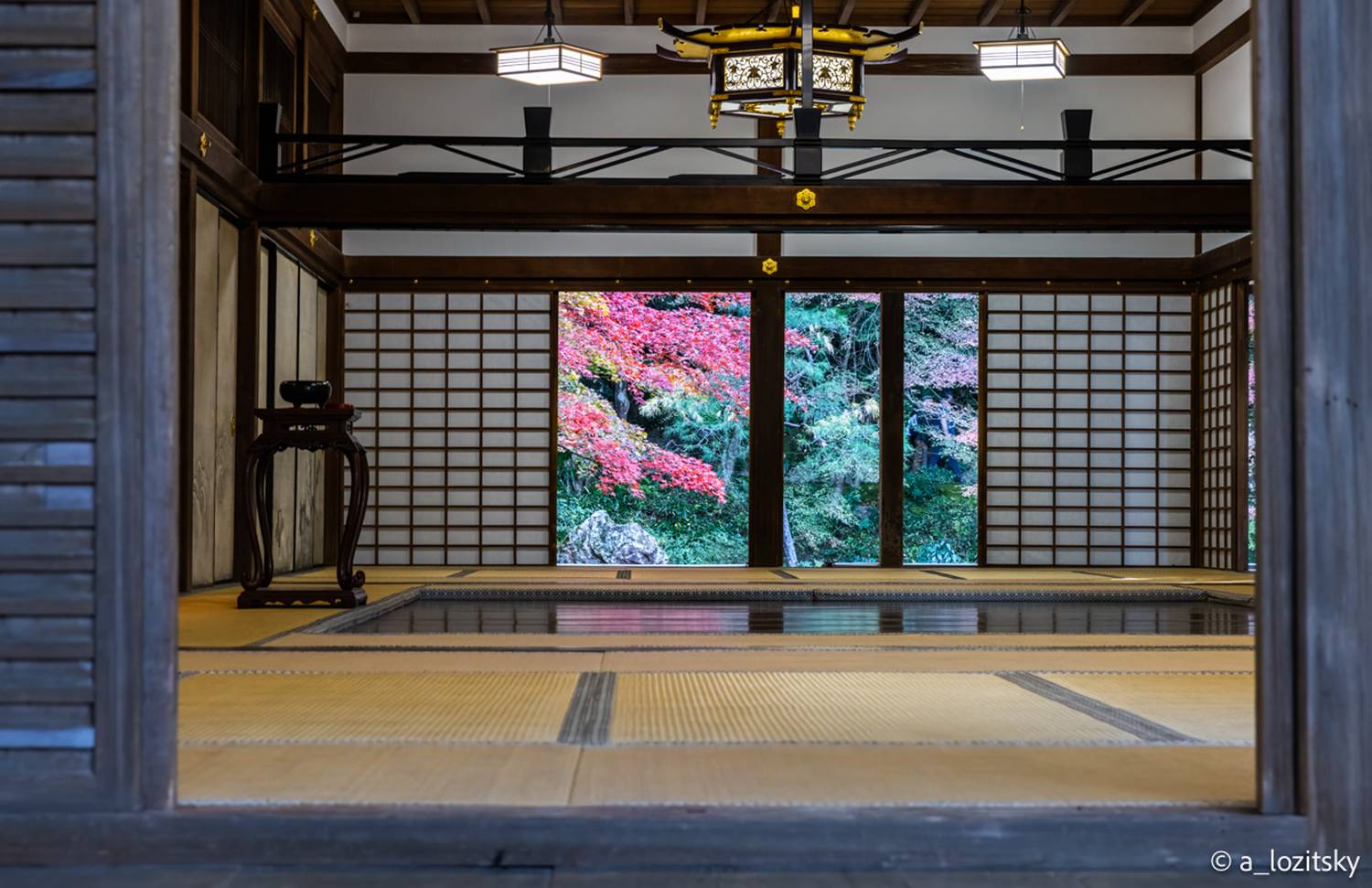 , Лозицкий Александр