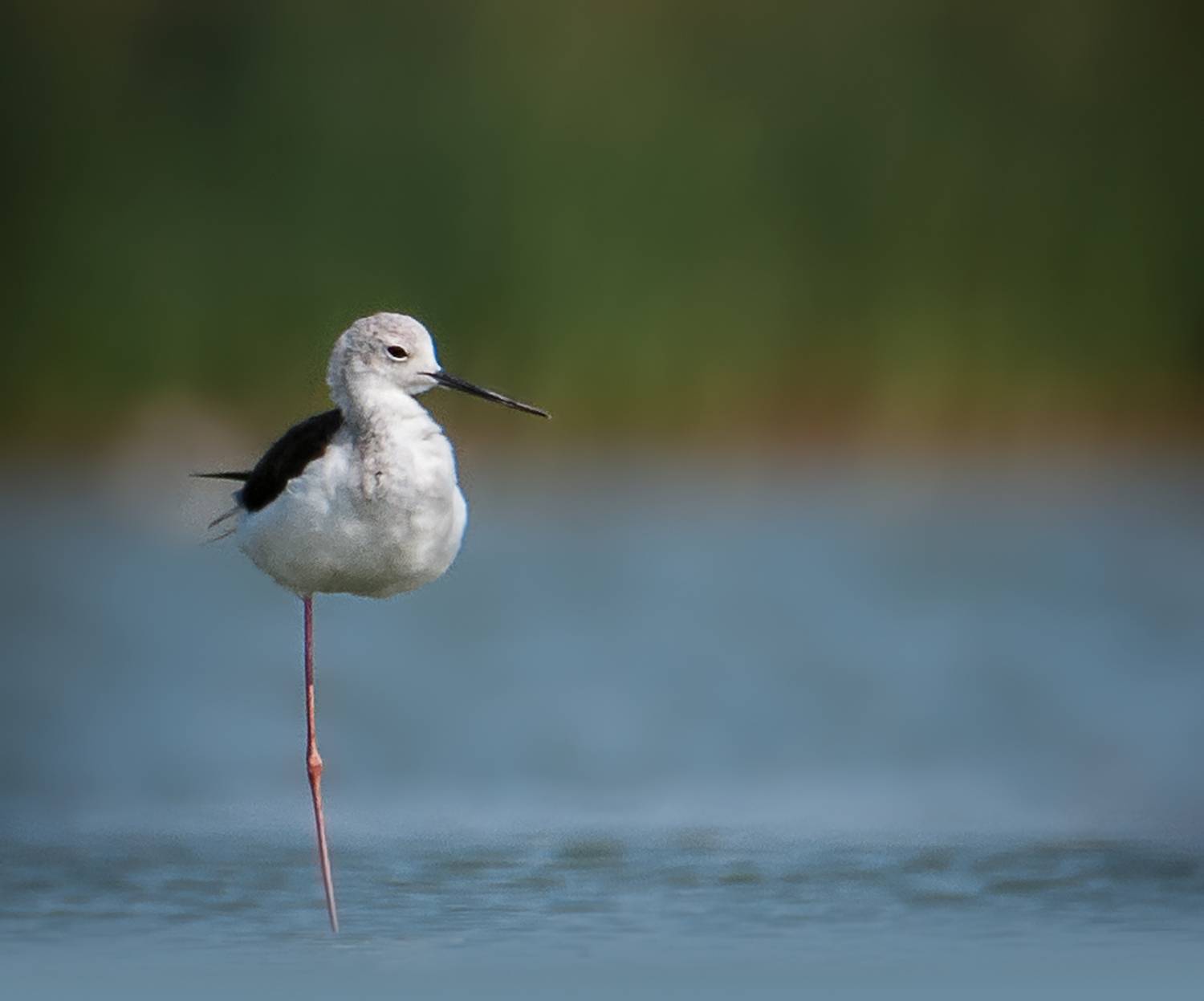 , Фото Александр