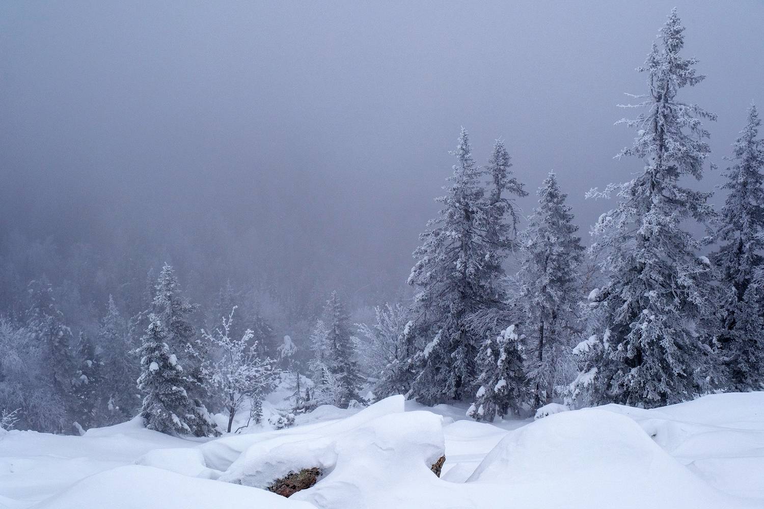 , Бодрягин Виталий